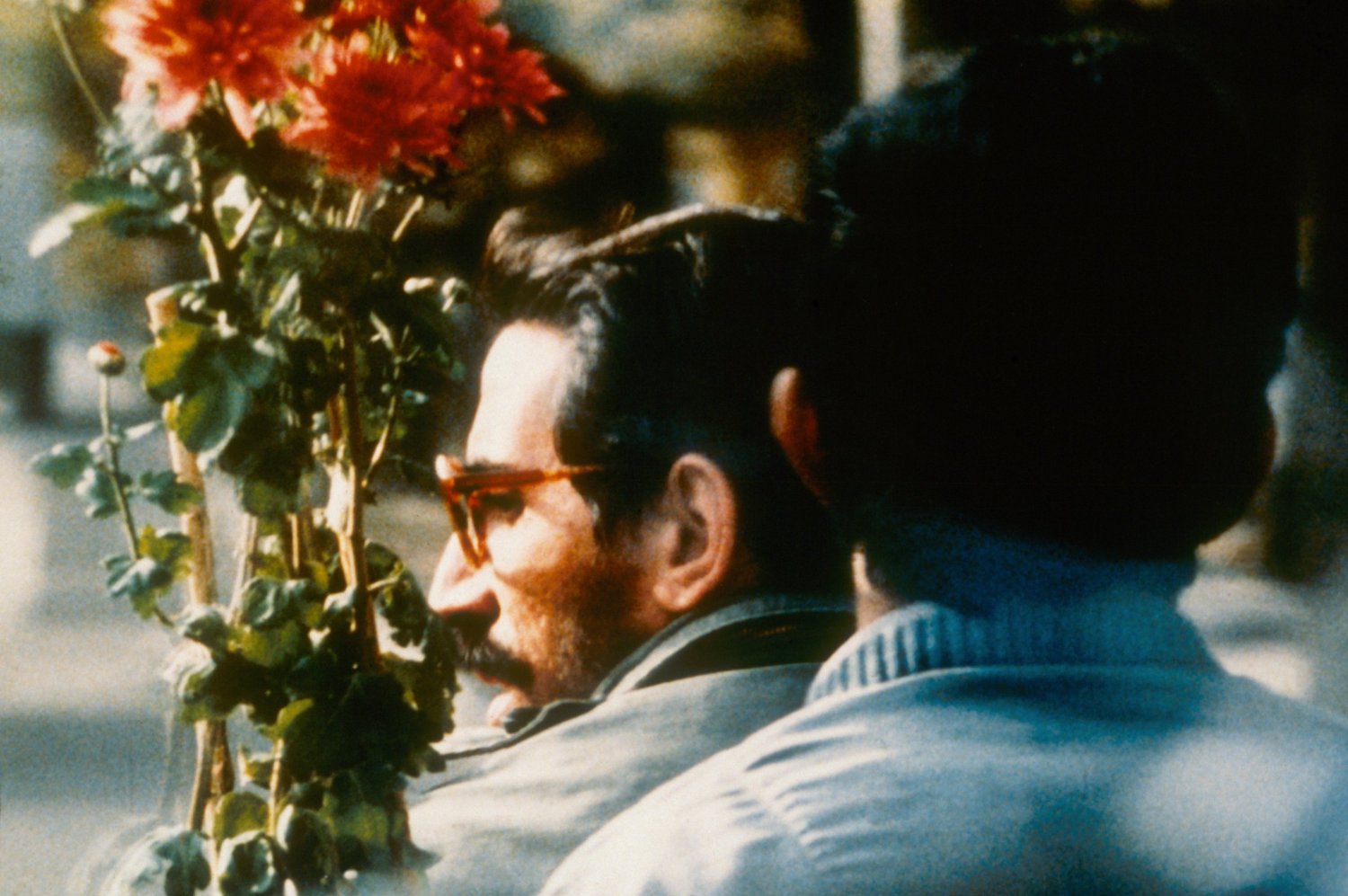 Nema-ye nazdik, Abbas Kiarostami