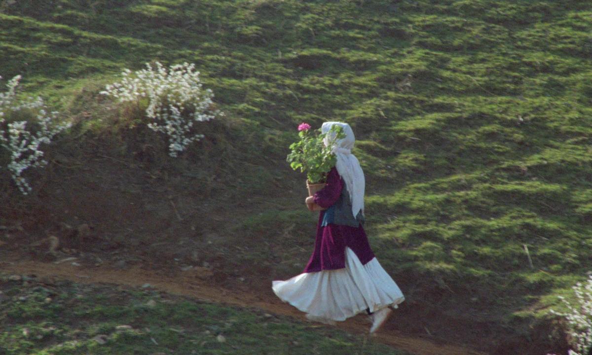 Zire darakhatan zeyton [Through the Olive Trees] (Abbas Kiarostami, 1994)
