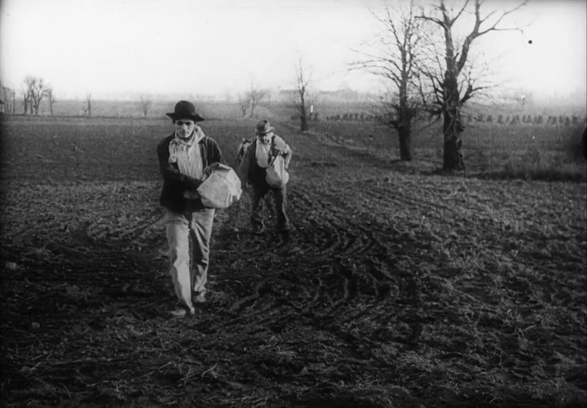 (1) A Corner in Wheat (D.W. Griffith, 1909)