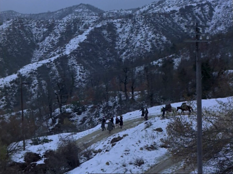 (12) O thiasos [The Travelling Players] (Theodoros Angelopoulos, 1975)