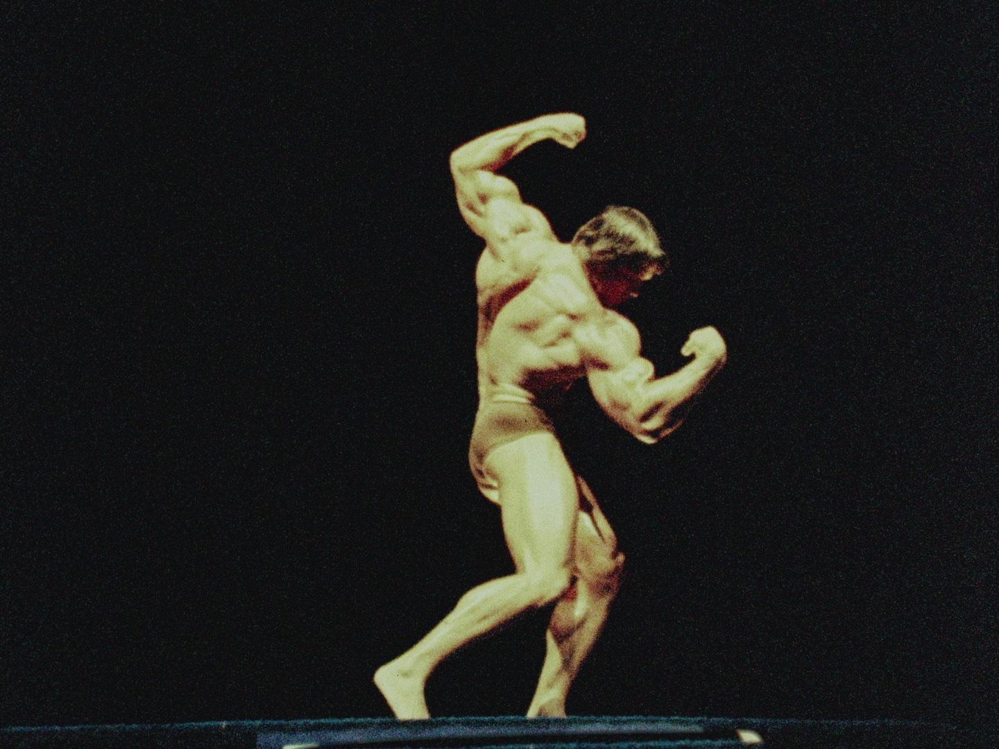 Arnold Schwarzenegger, The Art of Bodybuilding (Babeth Mondini-Vanloo, 1976-2020)