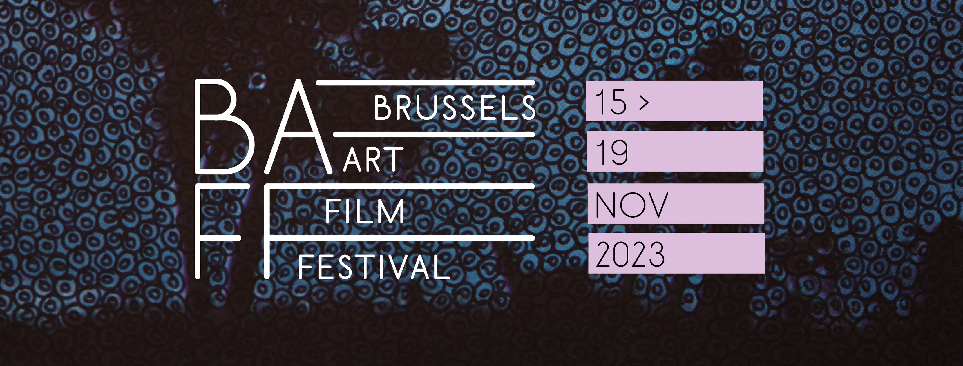 Banner Brussels Art Film Festival 2023
