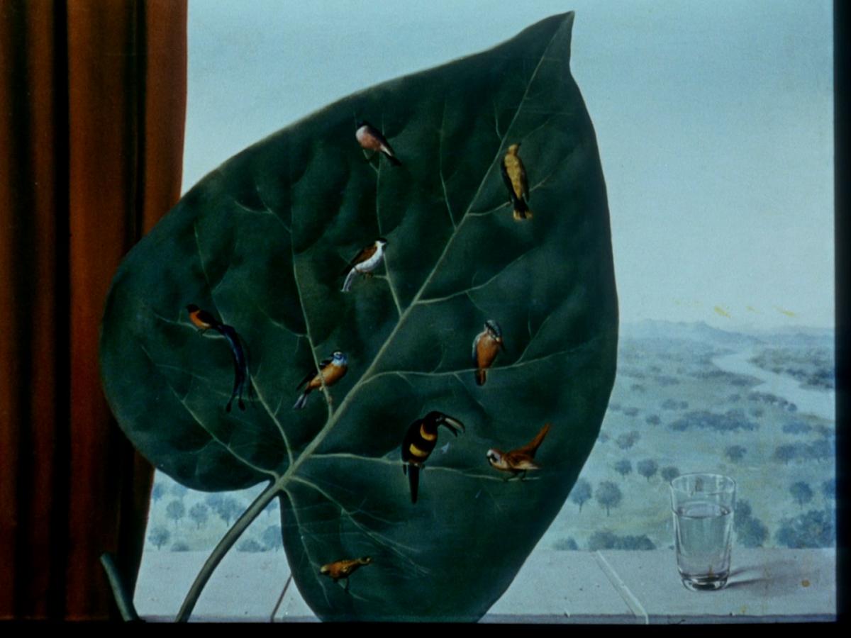 (1) Magritte ou La leçon de choses (Luc de Heusch, 1960)